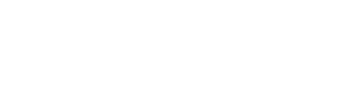 Pupil Labs