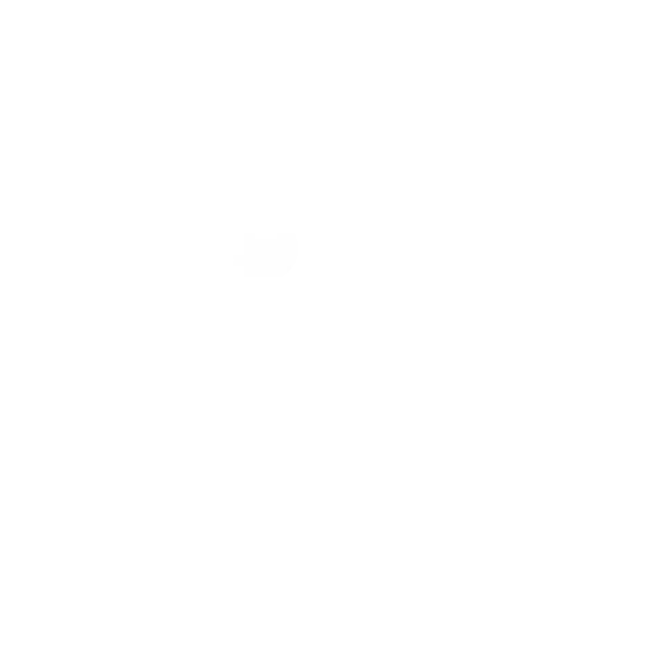 SNN